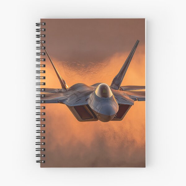 Item preview, Raptor Above the Bronze Sands designed and sold by Skyframe Aviation.