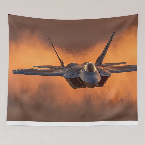 Item preview, Raptor Above the Bronze Sands designed and sold by Skyframe Aviation.