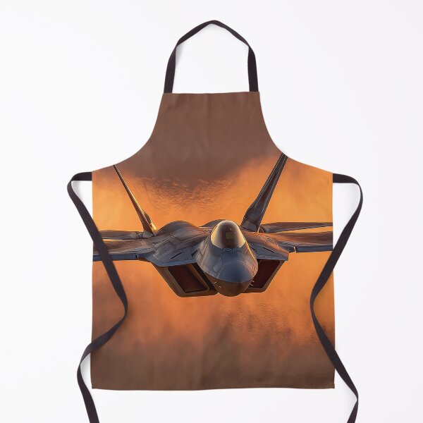 Item preview, Raptor Above the Bronze Sands designed and sold by Skyframe Aviation.