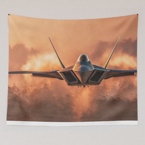 Item preview, Raptor Under the Copper Sun designed and sold by Skyframe Aviation.