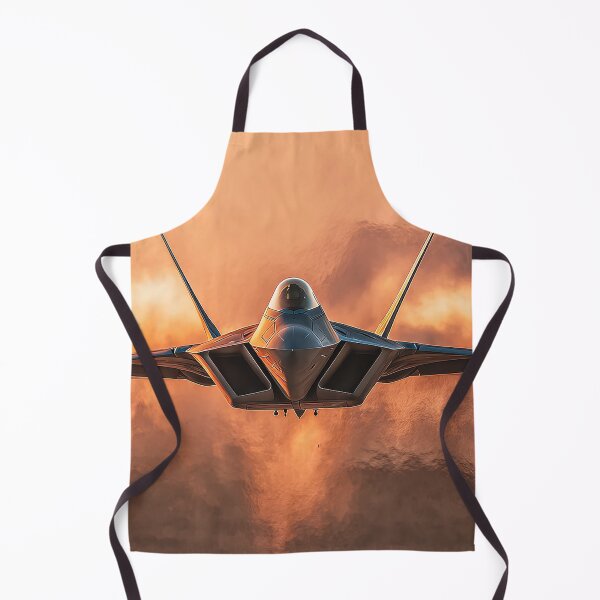 Item preview, Raptor Under the Copper Sun designed and sold by Skyframe Aviation.