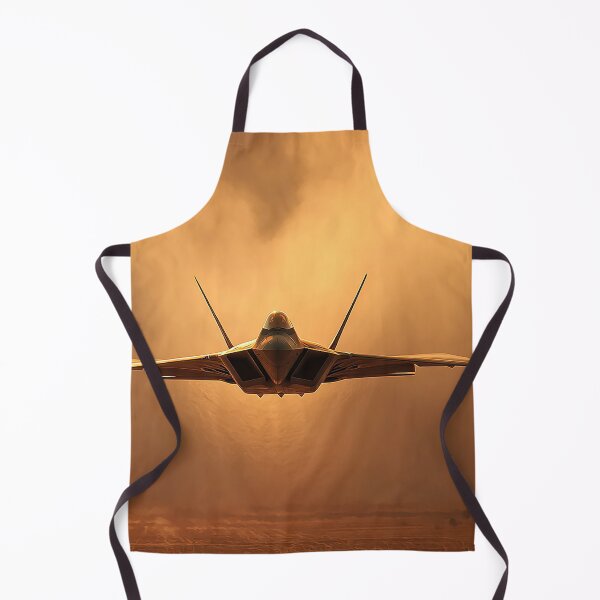Item preview, F-22 Golden Desert Break designed and sold by Skyframe Aviation.