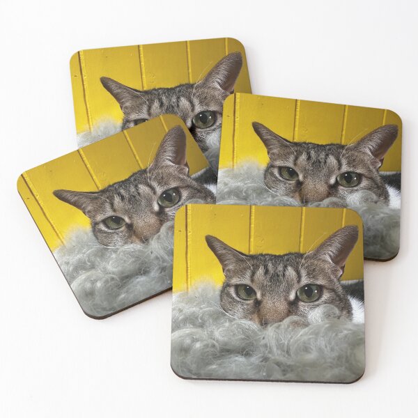 Item preview, Intensity designed and sold by SoftWaterStudio.