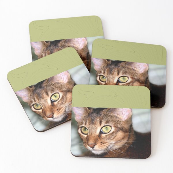 Item preview, Pet designed and sold by Kacharava.