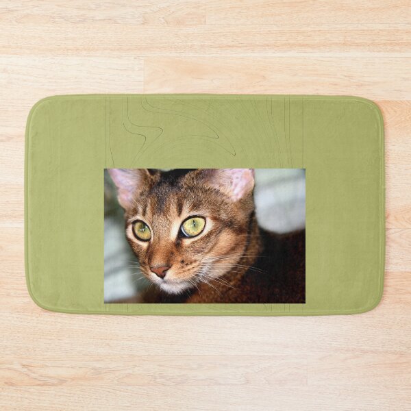 Item preview, Pet designed and sold by Kacharava.