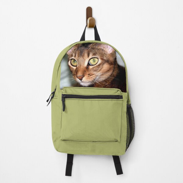 Item preview, Pet designed and sold by Kacharava.