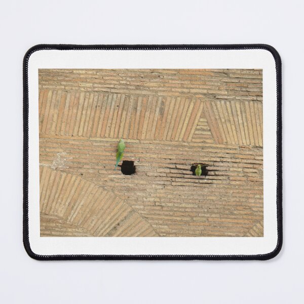 Item preview, Roman Forum parakeets, Rome designed and sold by QuotationInsp.