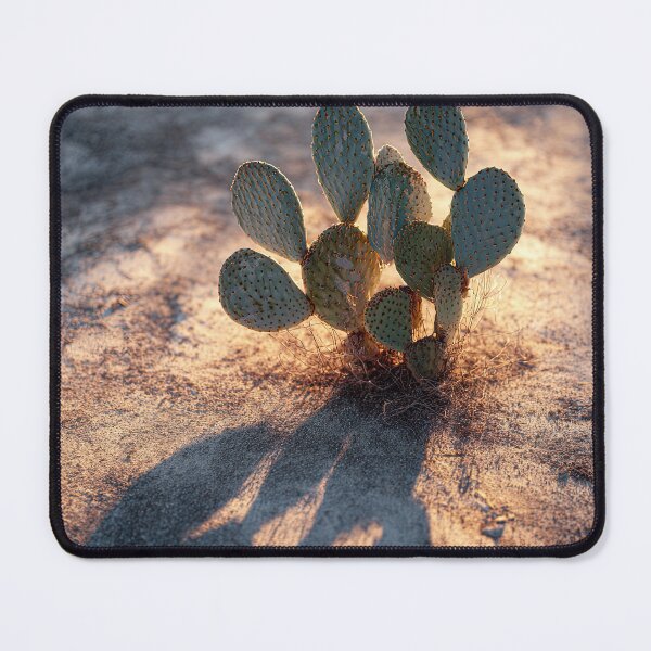 Item preview, Lone cactus at sunrise designed and sold by Pink & California.