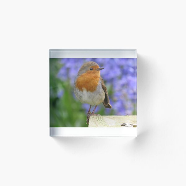 Item preview, Rocky el petirrojo, pájaro de jardín designed and sold by QuotationInsp.