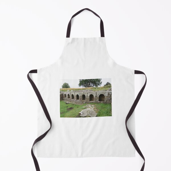 Item preview, Chesters Roman Fort Bath House, Hadrian's Wall designed and sold by QuotationInsp.