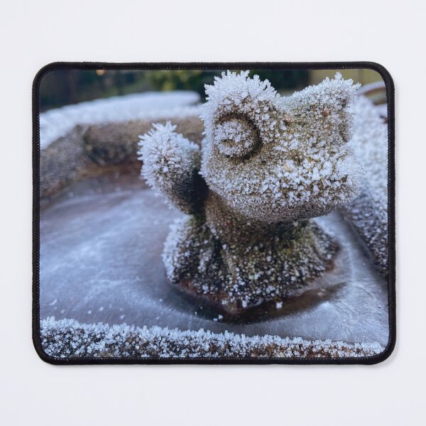 Item preview, Stone frog in ice designed and sold by QuotationInsp.
