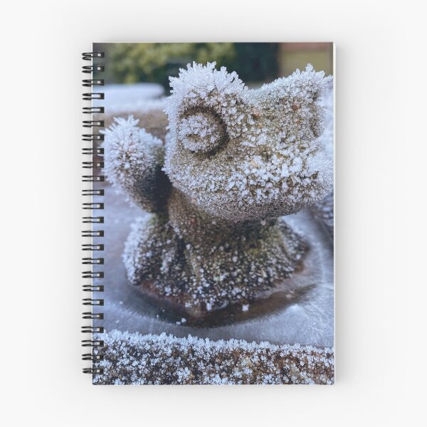 Item preview, Stone frog in ice designed and sold by QuotationInsp.