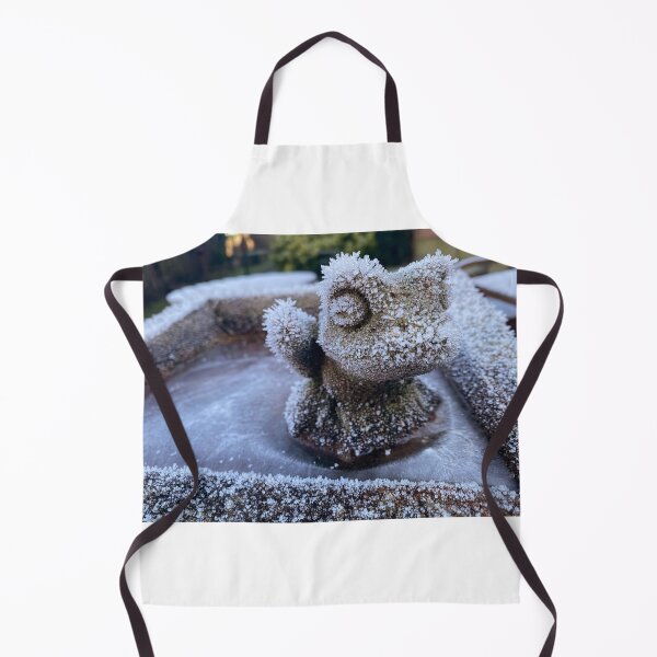 Item preview, Stone frog in ice designed and sold by QuotationInsp.