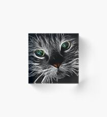 Cute cat Acrylic Block