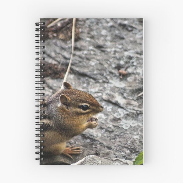 Item preview, MORNING GREETINGS designed and sold by BOLLA67.