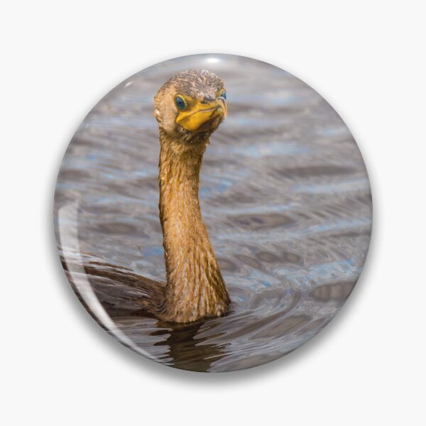 Item preview, Young Cormorant Stare Down designed and sold by Debra Martz.