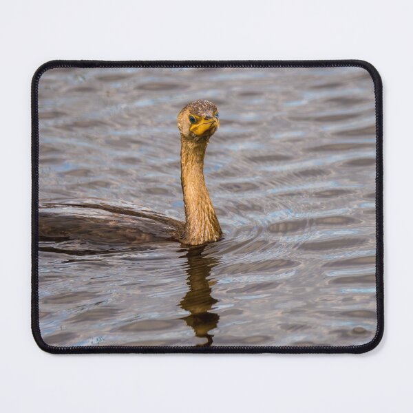 Item preview, Young Cormorant Stare Down designed and sold by Debra Martz.