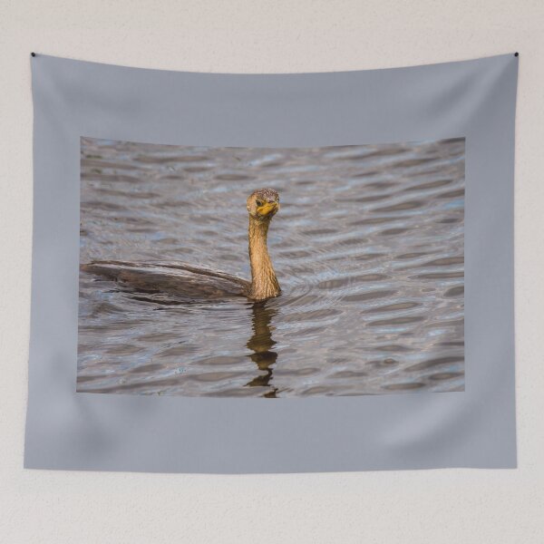 Item preview, Young Cormorant Stare Down designed and sold by Debra Martz.