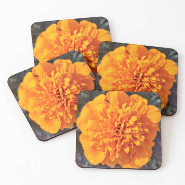 Item preview, Floral Fun - Holland Gardens Marigold designed and sold by ellenhenry.