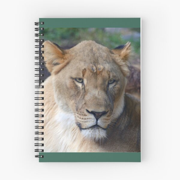 Item preview, Lioness designed and sold by Savannah Gibbs.