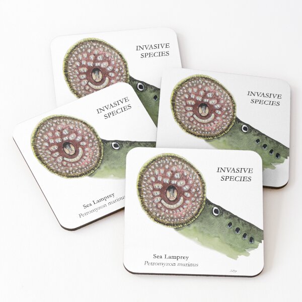 Item preview, Sea Lamprey Mouth Painting designed and sold by Stephen Emms.