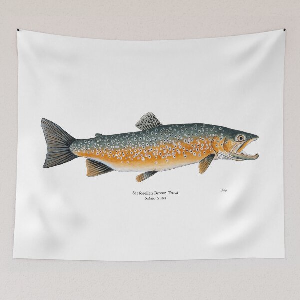 Item preview, Seeforellen Brown Trout Painting designed and sold by Stephen Emms.