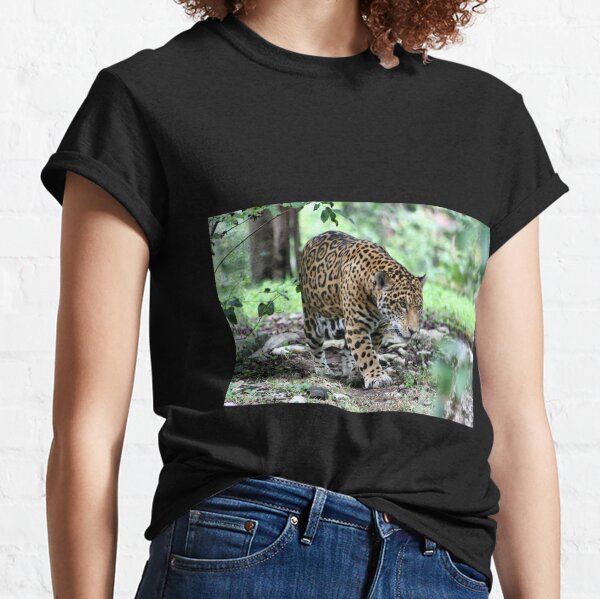 Xcaret Gifts & Merchandise for Sale Redbubble