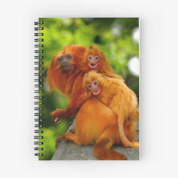 Item preview, Laughing baby monkeys on their Dad's back designed and sold by Chris Balcombe.