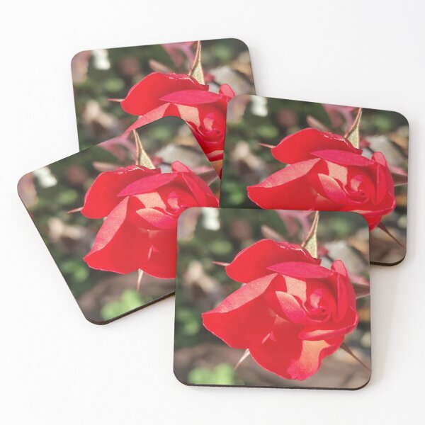 Item preview, Petal Platform  designed and sold by SCTBUFFALOPHOTO.