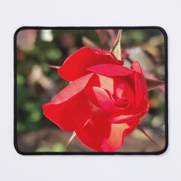 Item preview, Petal Platform designed and sold by SCTBUFFALOPHOTO.