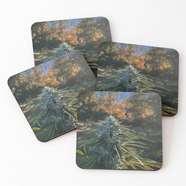 Item preview, Fall Harvest designed and sold by Tiffany Dierking.