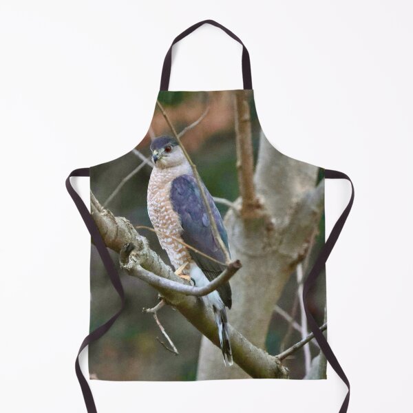 Item preview, Coopers Hawk Stare designed and sold by Naturally Still Photography.
