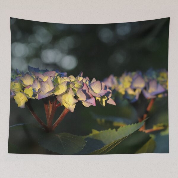 Item preview, Hydrangea at a Setting Sun designed and sold by cuprum.