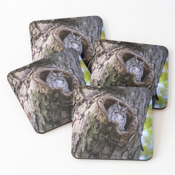 Item preview, Nap Time in the Sun designed and sold by Kerri Ann McClellan.
