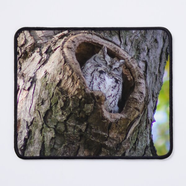 Item preview, Nap Time in the Sun designed and sold by Kerri Ann McClellan.