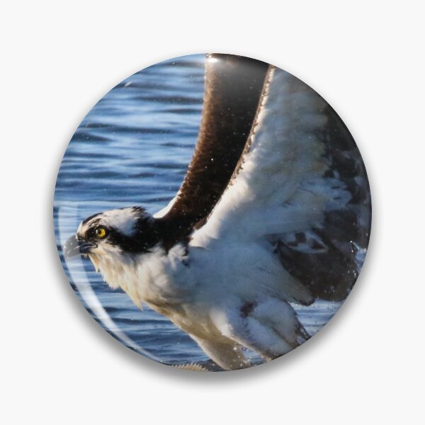 Item preview, Osprey Fishing designed and sold by Kerri Ann McClellan.