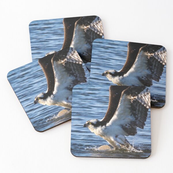 Item preview, Osprey Fishing designed and sold by Kerri Ann McClellan.