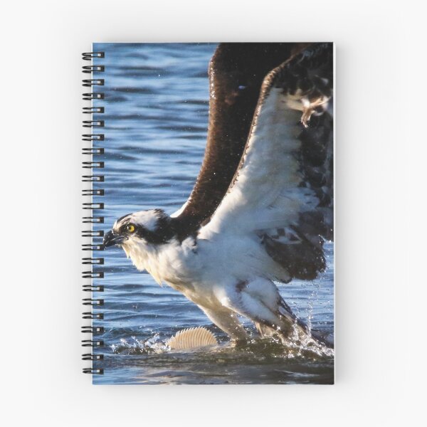 Item preview, Osprey Fishing designed and sold by Kerri Ann McClellan.