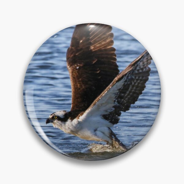 Item preview, Catching Dinner designed and sold by Kerri Ann McClellan.