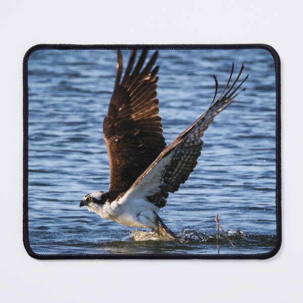 Item preview, Catching Dinner designed and sold by Kerri Ann McClellan.