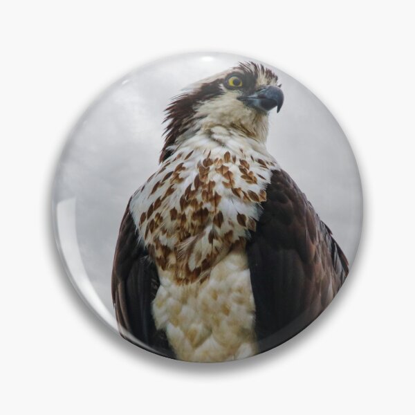 Item preview, Keeping Watch designed and sold by Kerri Ann McClellan.