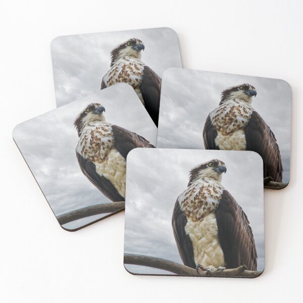 Item preview, Keeping Watch designed and sold by Kerri Ann McClellan.