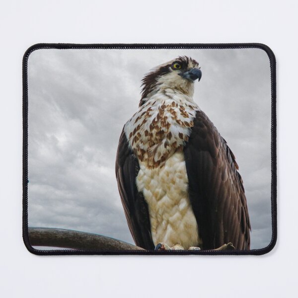 Item preview, Keeping Watch designed and sold by Kerri Ann McClellan.
