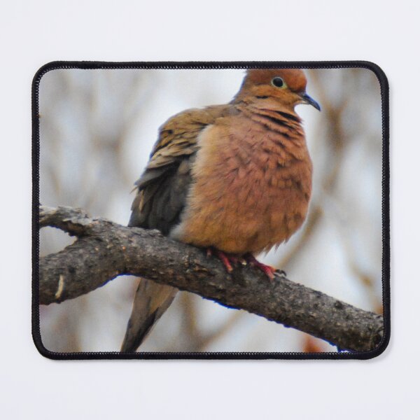 Item preview, Mourning Dove designed and sold by Kerri Ann McClellan.