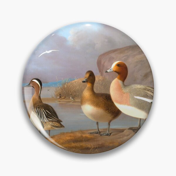 Item preview, Pair of wigeons and a male teal, 1852, Magnus von Wright designed and sold by AngyDesigns49.