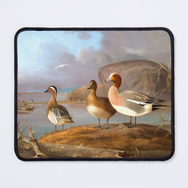 Item preview, Pair of wigeons and a male teal, 1852, Magnus von Wright designed and sold by AngyDesigns49.