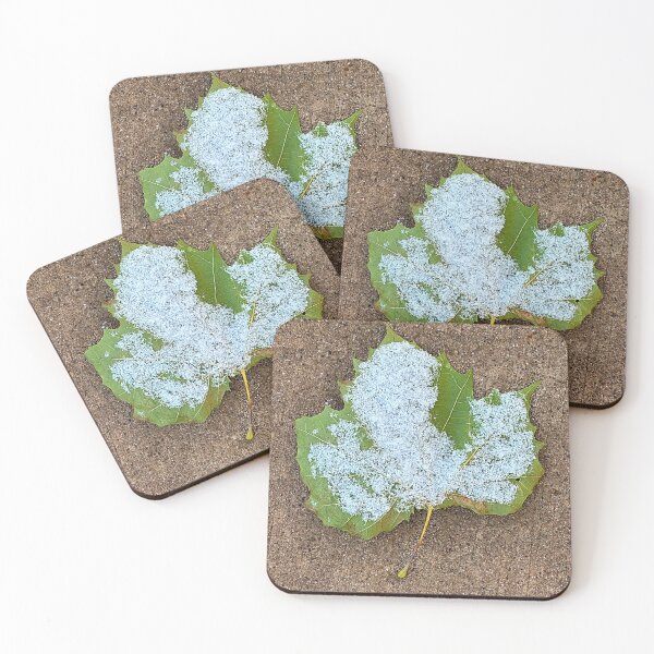 Item preview, Snowy Green Leaf On Concrete designed and sold by jeansy.