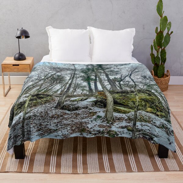 Item preview, Winter Scene at Rocky Arbor Sandstone Forest Photography Print designed and sold by aadventures.