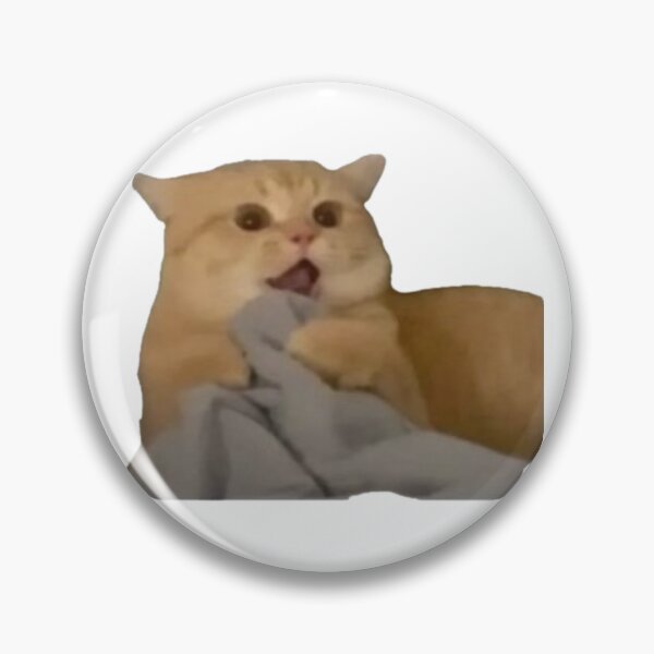 Item preview, shocked cat designed and sold by catmemes4u.