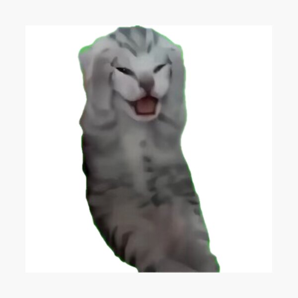Item preview, agony cat designed and sold by catmemes4u.